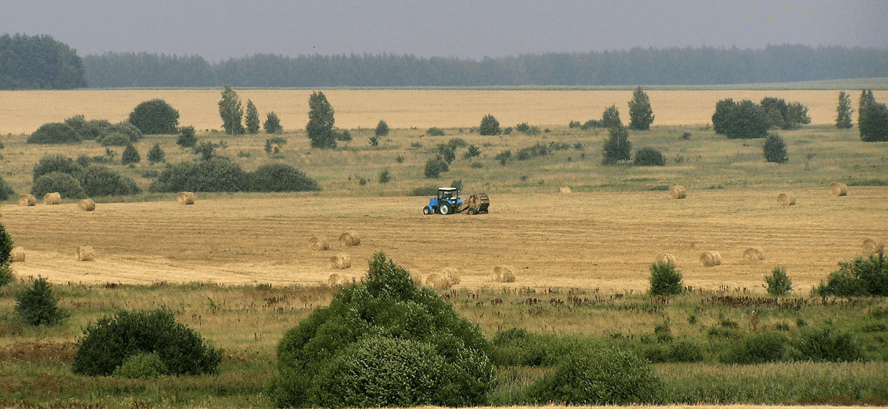 Поле